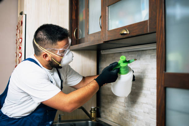 Best Wasp Removal Services  in Claypool, AZ
