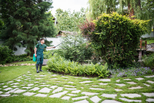 Best Commercial Pest Control Services  in Claypool, AZ