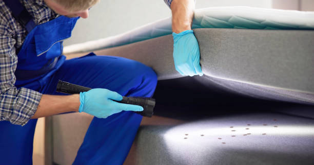Best Pest Control for Businesses  in Claypool, AZ