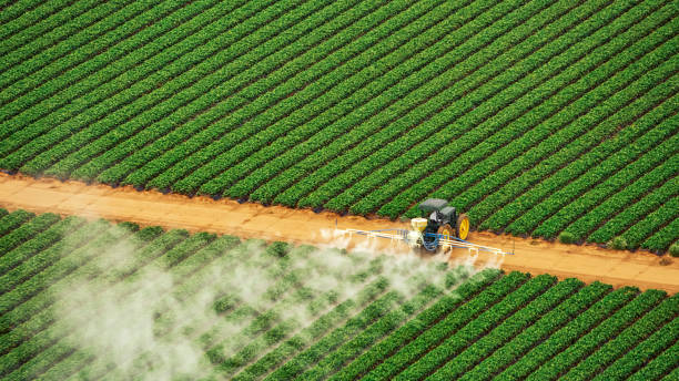 Best Commercial Pest Control Services  in Claypool, AZ