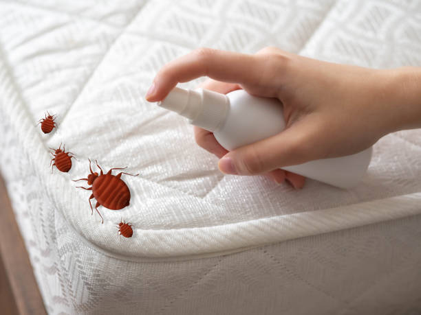 Best Best Pest Control Companies  in Claypool, AZ